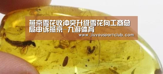 燕京雪花收冲突升级雪花向工商总局申诉燕京